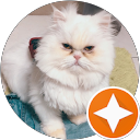 SC H profile picture